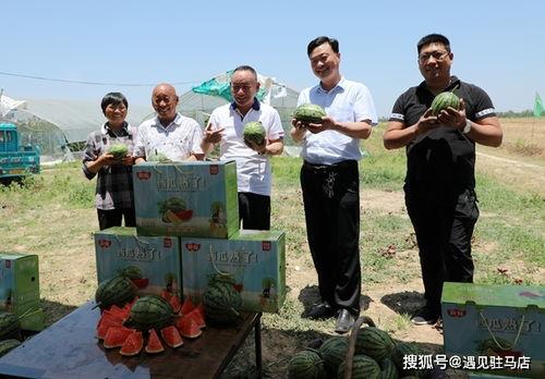 小卦專吃影視娛樂瓜,影視娛樂圈幕后風云