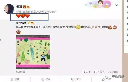 娛樂吃瓜醬生日,生日快樂，揭秘這位娛樂圈“瓜王”的獨(dú)家魅力