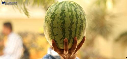 如何吃?shī)蕵?lè)圈的瓜,揭秘明星幕后那些事兒