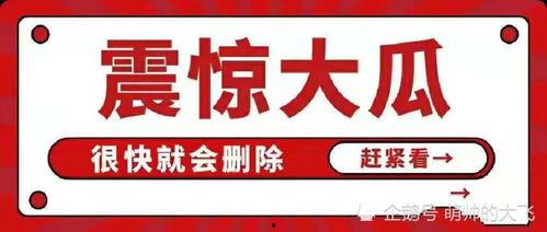 娛樂圈吃瓜合集文案,揭秘明星幕后故事與八卦傳聞