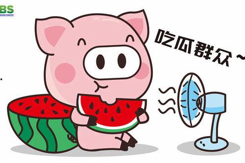 娛樂八卦一定是吃瓜群眾,揭秘“吃瓜群眾”的娛樂八卦盛宴