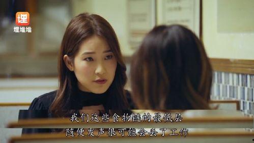 娛樂(lè)圈吃瓜女小說(shuō),瓜田里的甜蜜陷阱