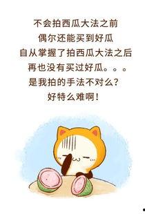 娛樂吃瓜醬拒絕精神,揭秘輕松生活之道